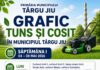 Edilitara: Campanie de tuns și cosit în Târgu Jiu