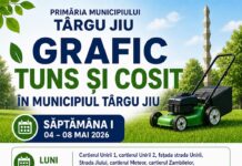 Edilitara: Campanie de tuns și cosit în Târgu Jiu