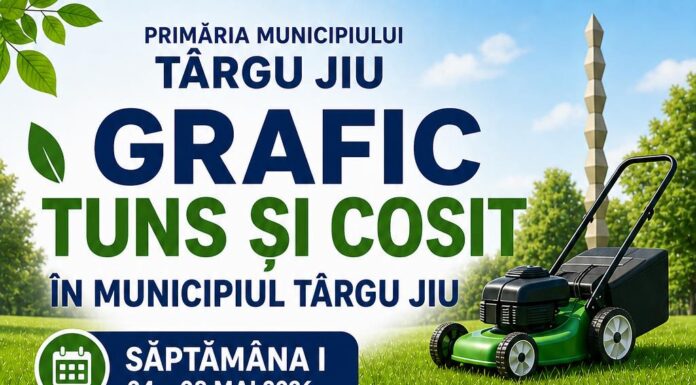 Edilitara: Campanie de tuns și cosit în Târgu Jiu