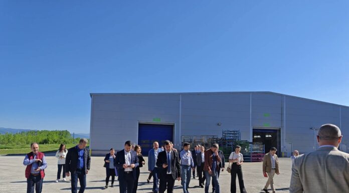 Delegație de oameni de afaceri francezi la Târgu Jiu. Discuții pentru investiții și parteneriate economice