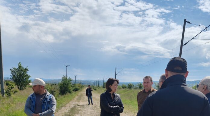 Demersuri pentru construirea adăpostului județean pentru câinii fără stăpân