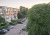 Câinii fără stăpân, o problemă greu de rezolvat