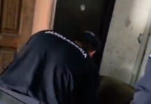 VIDEO: Căprior rătăcit în scara unui bloc din Mătăsari, salvat și eliberat în natură