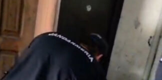 VIDEO: Căprior rătăcit în scara unui bloc din Mătăsari, salvat și eliberat în natură
