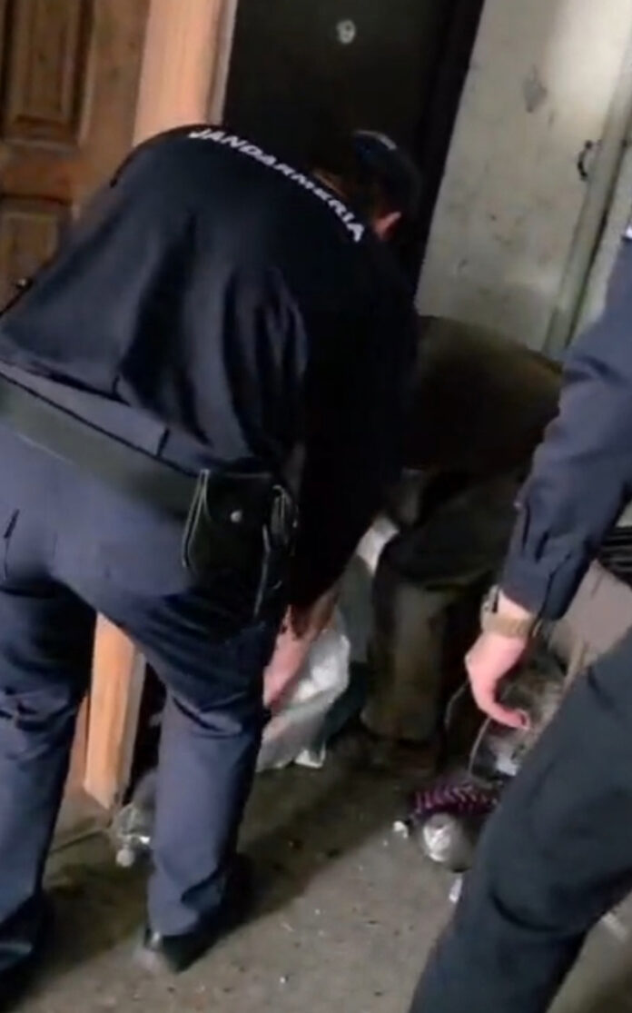 VIDEO: Căprior rătăcit în scara unui bloc din Mătăsari, salvat și eliberat în natură