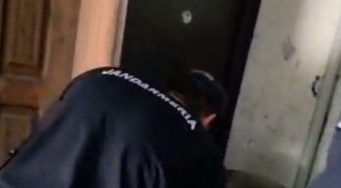 VIDEO: Căprior rătăcit în scara unui bloc din Mătăsari, salvat și eliberat în natură