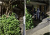 Triplă crimă în Târgu Jiu! O bunică și cei doi nepoți, găsiți morți în apartament