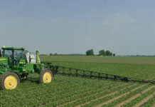 Agricultura pe înțelesul tuturor – Calendarul lucrărilor agricole în luna mai