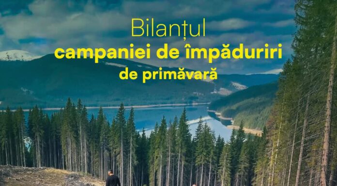 Romsilva: 16 milioane de puieți plantați în campania de primăvară