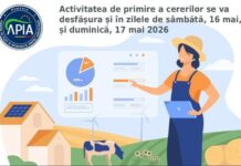 Angajații APIA, la datorie în acest weekend