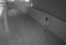 VIDOE: Hoț din Maramureș, arestat la Târgu-Jiu