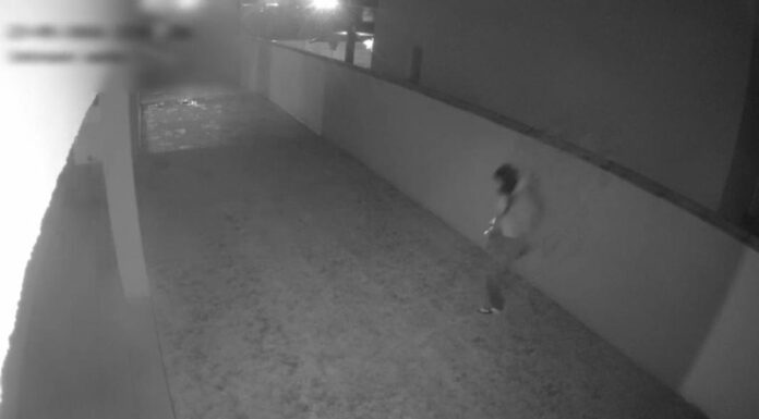 VIDOE: Hoț din Maramureș, arestat la Târgu-Jiu