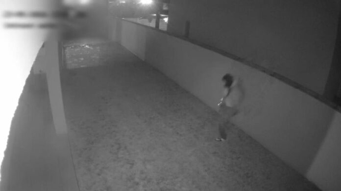 VIDOE: Hoț din Maramureș, arestat la Târgu-Jiu