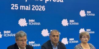 Poziția IMM România cu privire la noua lege a salarizării personalului din sistemul bugetar