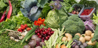 Agricultura pe înțelesul tuturor – Protecția ecologică a legumelor