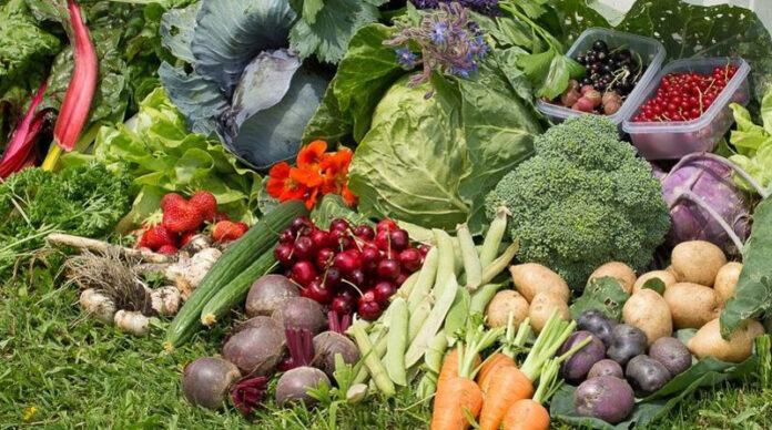 Agricultura pe înțelesul tuturor – Protecția ecologică a legumelor