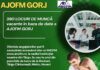 390 de joburi puse la bătaie în Gorj