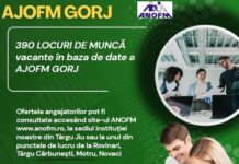 390 de joburi puse la bătaie în Gorj