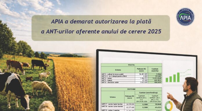 APIA: Ajutoarele naționale tranzitorii intră la plată