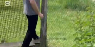 VIDEO: Șarpe scos de jandarmi din casa unei familii din Hurezani