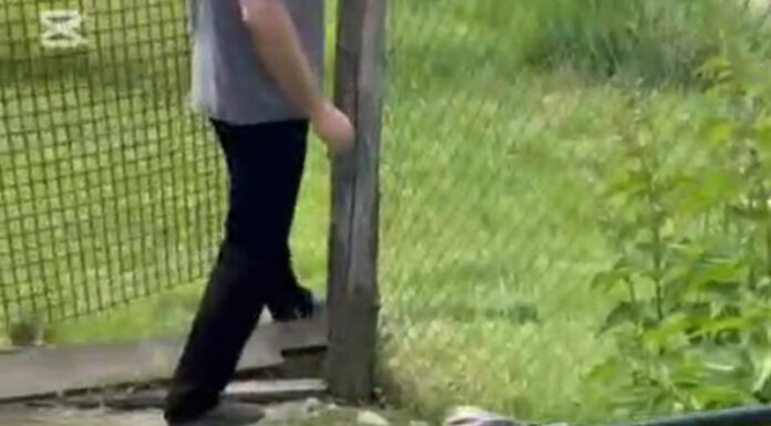 VIDEO: Șarpe scos de jandarmi din casa unei familii din Hurezani