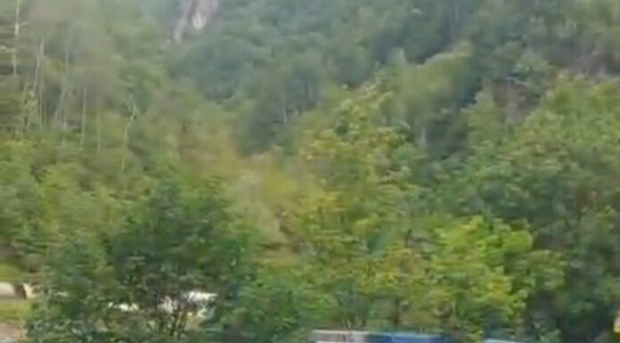 VIDEO: Accident în Defileul Jiului