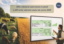 APIA a demarat autorizarea la plată a Ajutoarelor Naționale Tranzitorii