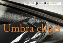 Artista Cristina Bacicu Botez expune la Târgu Jiu