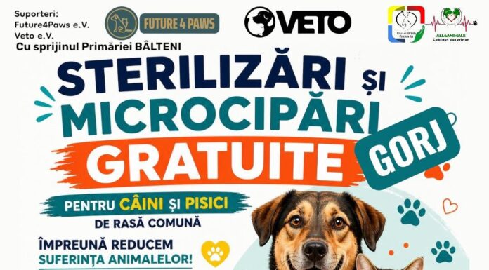 Campanie de sterilizare gratuită pentru patrupede, organizată la Bâlteni