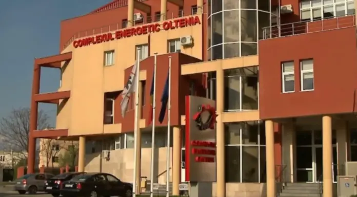 CAZUL CEO: 19 percheziții domiciliare în 4 județe și București