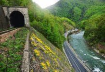 Lecții în aer liber și activități interactive în cadrul proiectului „Școala din natură – Defileul Jiului”