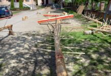 Competiție la Direcția Silvică Gorj