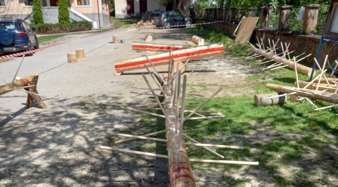 Competiție la Direcția Silvică Gorj