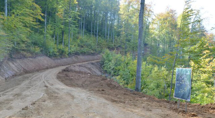Cât costă reabilitarea unui drum forestier