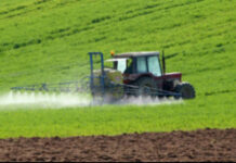 Agricultura pe înțelesul tuturor – Erbicidarea corectă a cerealelor păioase în primăvară ploioasă