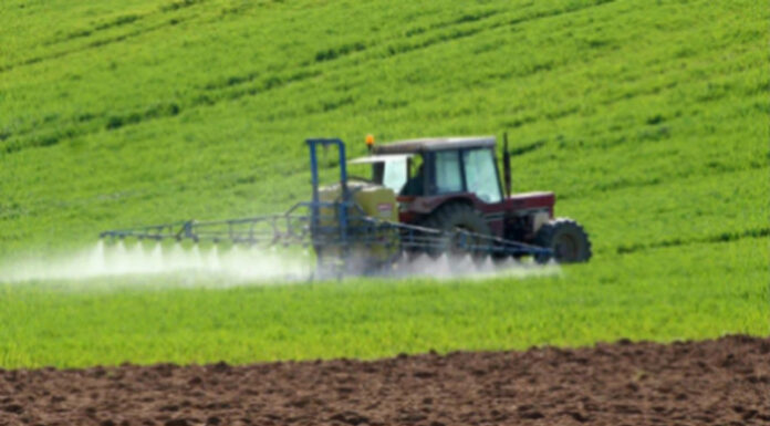 Agricultura pe înțelesul tuturor – Erbicidarea corectă a cerealelor păioase în primăvară ploioasă
