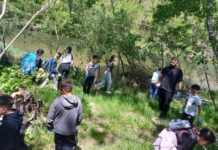 Acțiune de ecologizare în Defileul Jiului