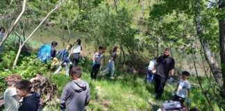 Acțiune de ecologizare în Defileul Jiului