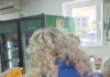 Gorj: Amenzi mari de la inspectorii de muncă