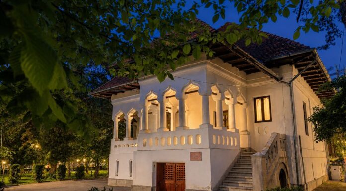 Târgu Jiu: Program special și expoziții deschise până la miezul nopții la Muzeul „Constantin Brâncuși”