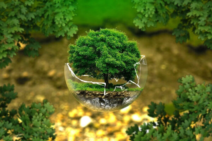 Agricultura pe înțelesul tuturor – Cum să ne purtăm prietenos cu natura, dar să ne protejăm și culturile (I)
