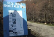 Sanctuare ale naturii – De ziua Parcurilor Naționale pe Jiul de Sus