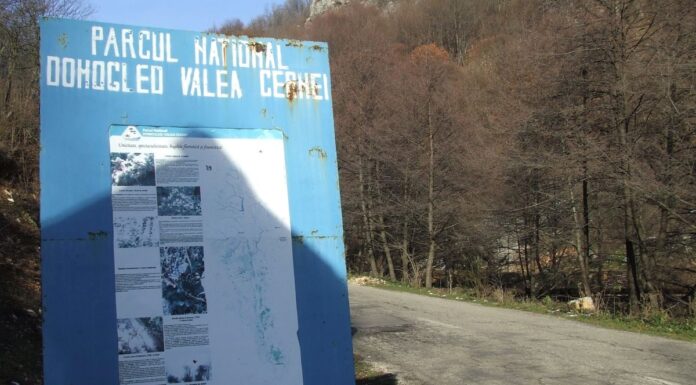 Sanctuare ale naturii – De ziua Parcurilor Naționale pe Jiul de Sus