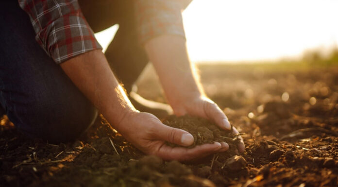 Agricultura pe înțelesul tuturor – Pregătirea corectă a patului germinativ pentru semănăturile de primăvară