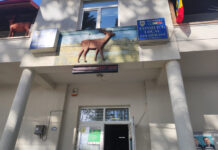 Panouri fotovoltaice gratuite pentru familiile vulnerabile din Polovragi