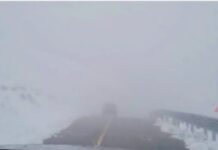 Aventura unui șofer pe Transalpina. Amendă transformată în avertisment