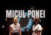 Teatrul din Târgu Jiu duce „Micul Ponei” în Georgia