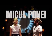 Teatrul din Târgu Jiu duce „Micul Ponei” în Georgia