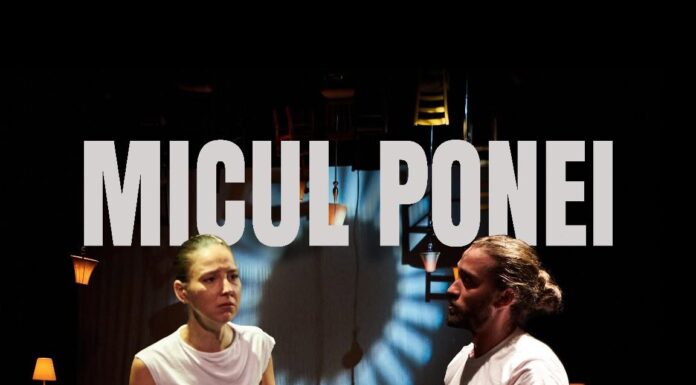 Teatrul din Târgu Jiu duce „Micul Ponei” în Georgia