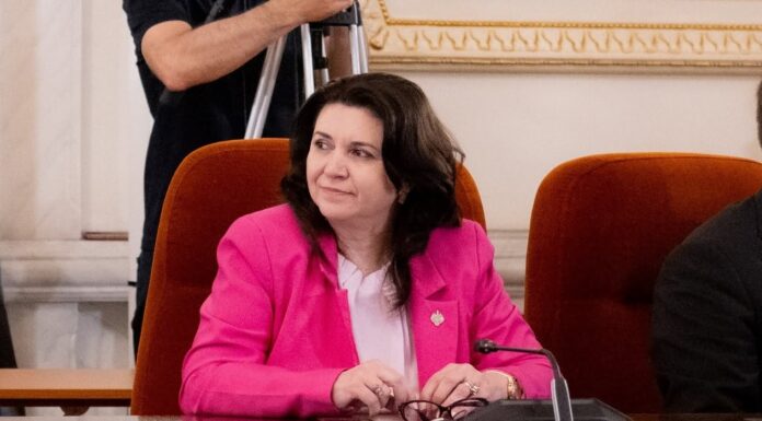 Aviz favorabil pentru Monica Anisie la Educație